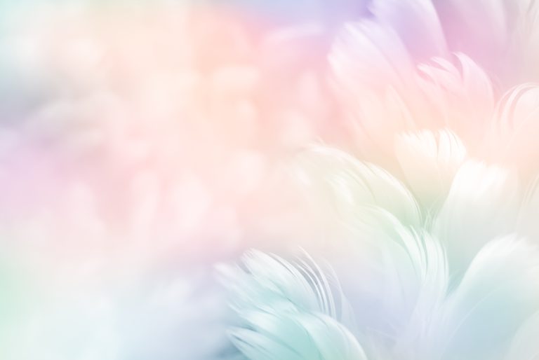 Rainbow feather abstract background.
